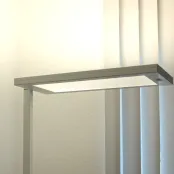 Stehlampe mit indirekter Beleuchtung